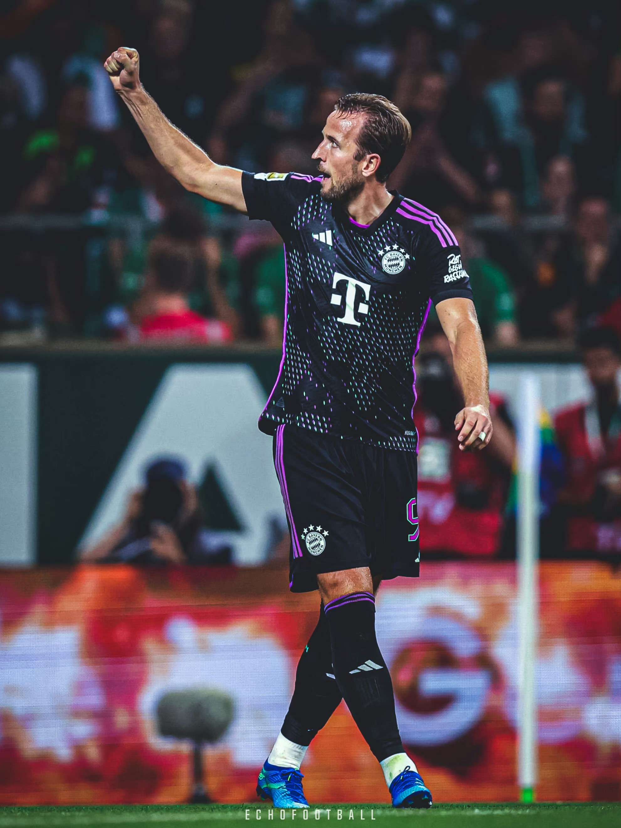 50吨植物油精炼设备